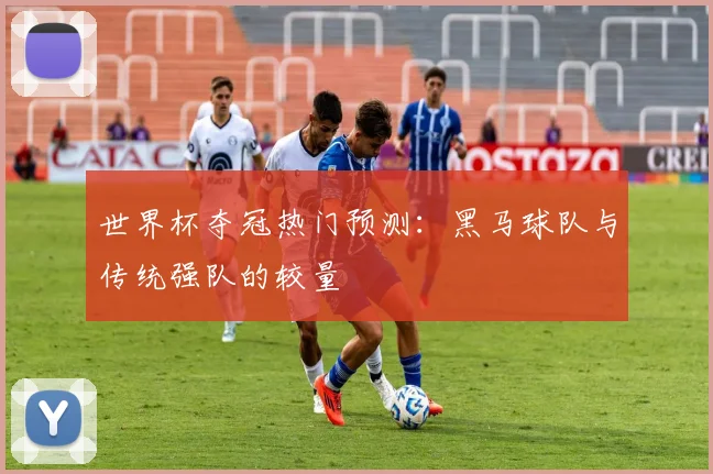 世界杯夺冠热门预测：黑马球队与传统强队的较量